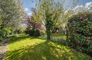 Rear garden angle 1- click for photo gallery